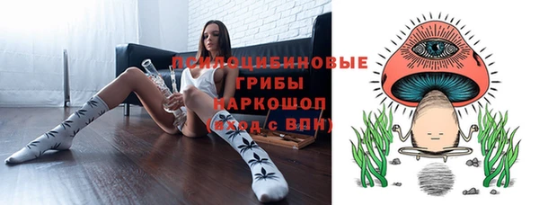 ГАЛЛЮЦИНОГЕННЫЕ ГРИБЫ Белокуриха