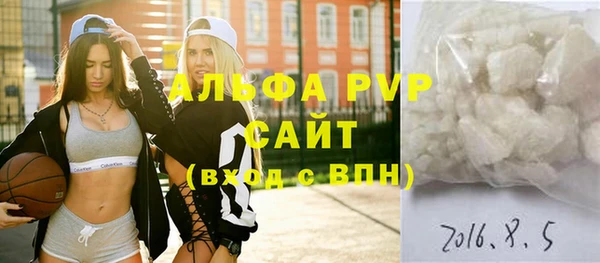шишки Сясьстрой