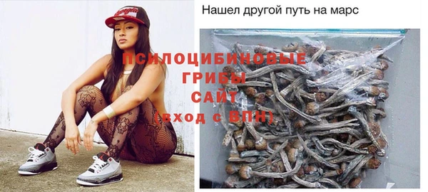 крисы Белоозёрский
