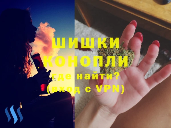 ГАЛЛЮЦИНОГЕННЫЕ ГРИБЫ Белокуриха