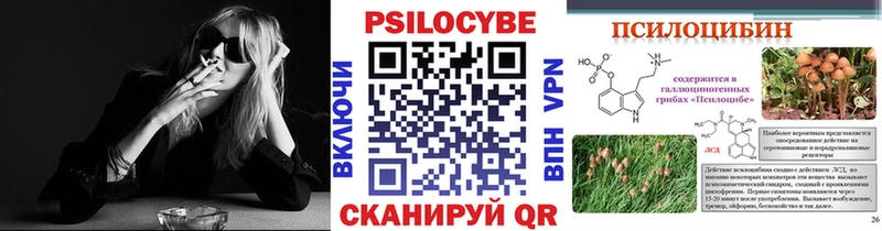 omg tor  Волжск  Псилоцибиновые грибы MAGIC MUSHROOMS 
